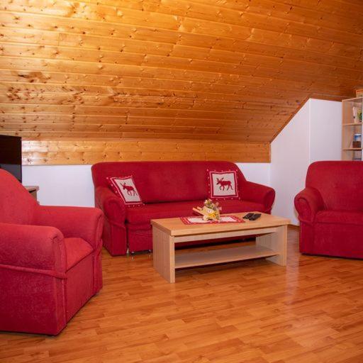 Guest House Ema Crni Lug Extérieur photo