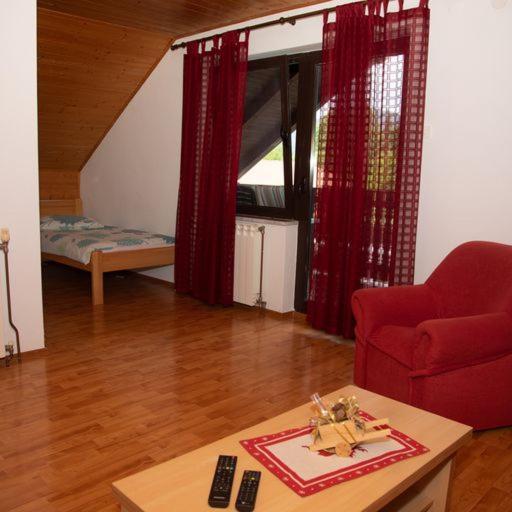 Guest House Ema Crni Lug Extérieur photo