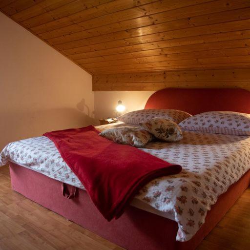 Guest House Ema Crni Lug Extérieur photo