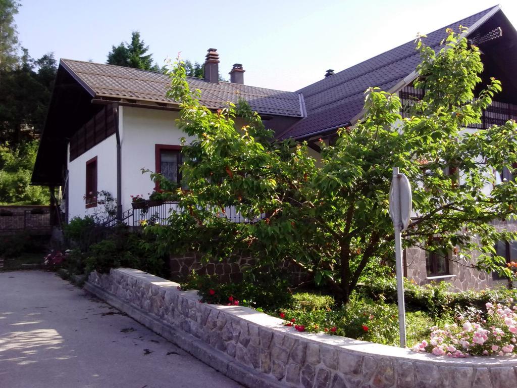 Guest House Ema Crni Lug Extérieur photo